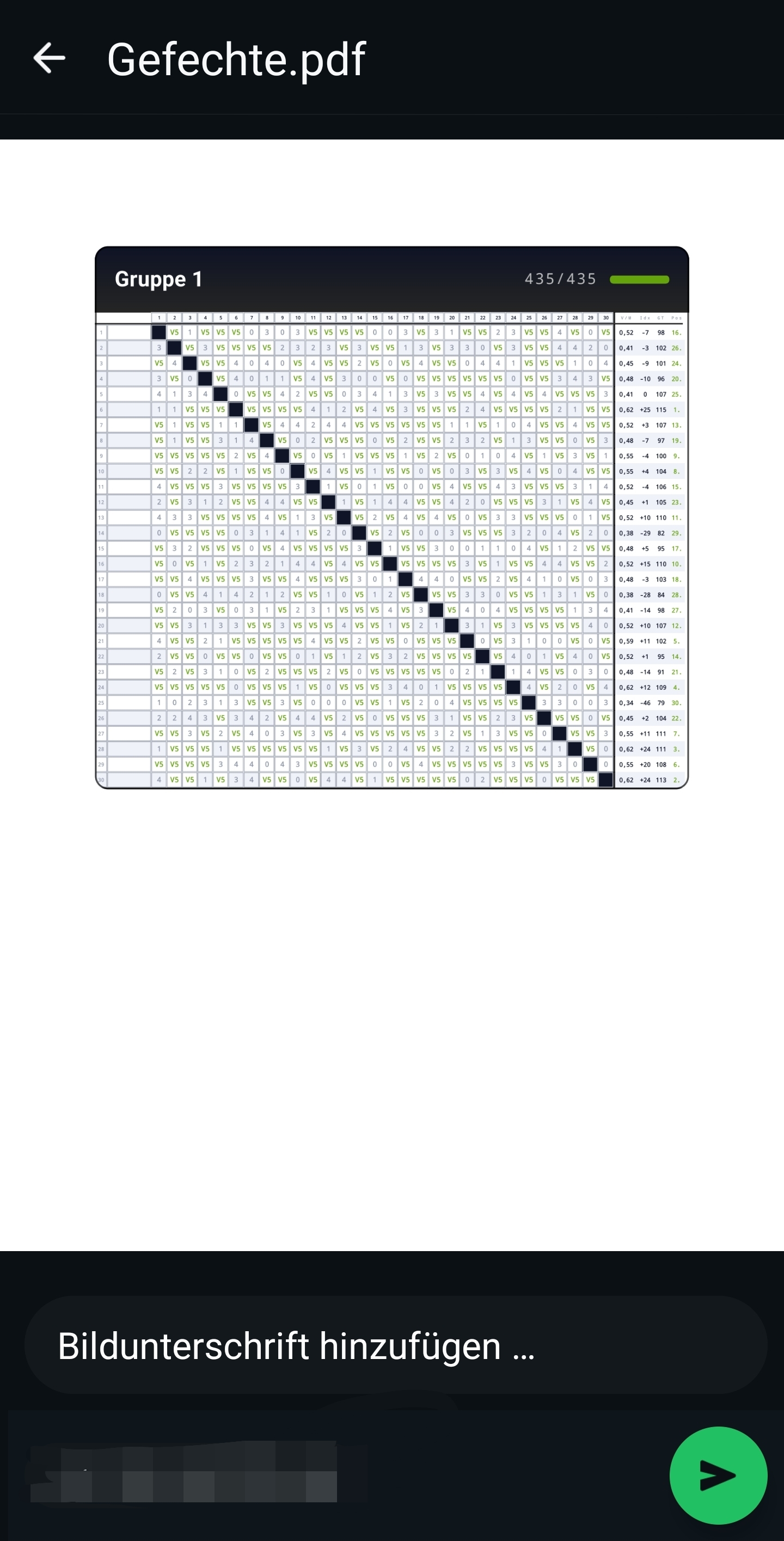 Vorschau eines Pool-Tableau-PDFs beim Teilen mit Gruppe 1, allen Bouts und Statistik-Spalten